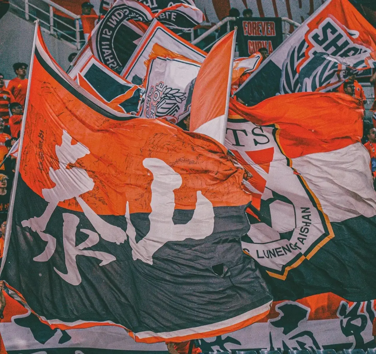球迷情感不, 的文化认同, tenan
